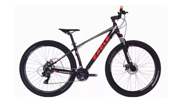 BICICLETA MONTAÑERA EAGLE MAN RIN 29 21V